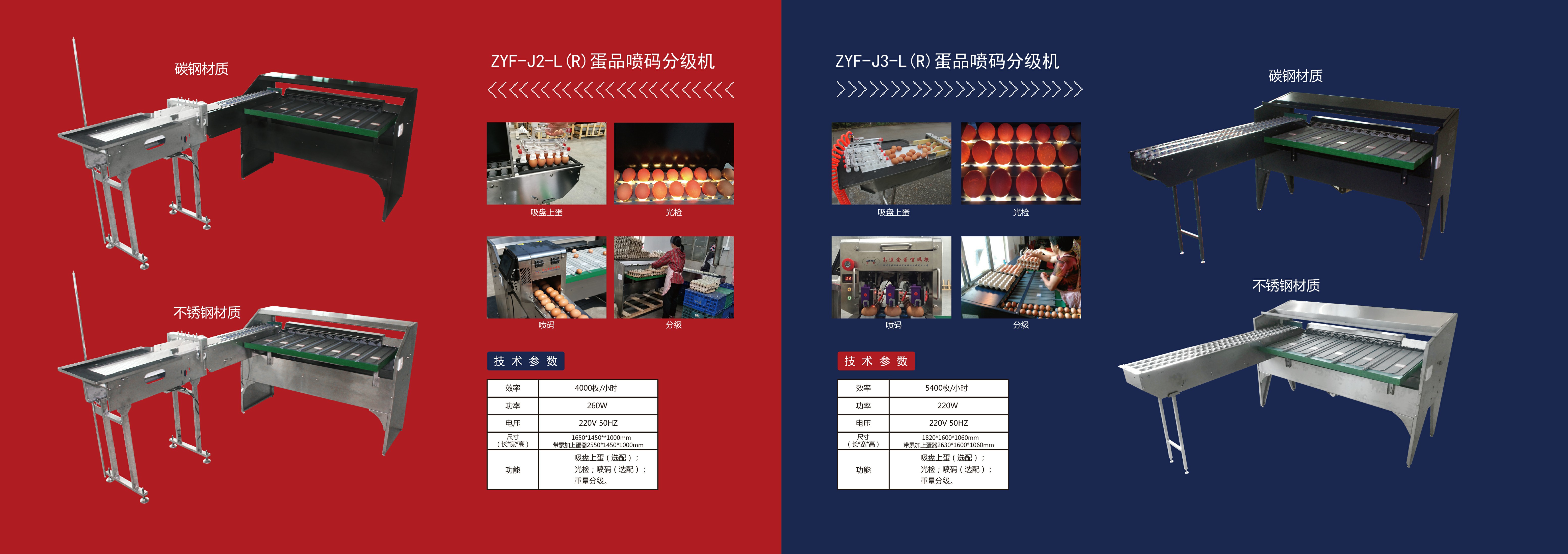 雞蛋畫(huà)冊(cè)重置版-5.jpg